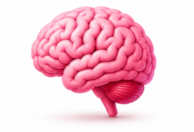 Anti aging & Brain